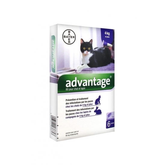 Bayer advantage 80 solution antipuce pour chat et lapin de 4kg et plus 6 pipettes