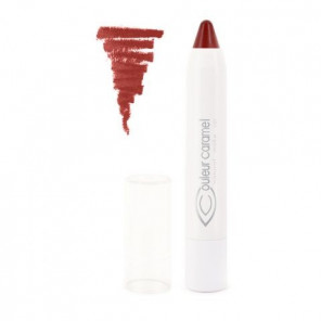 Couleur Caramel Crayon Lèvres Twist and Lips 405 Rouge Mat