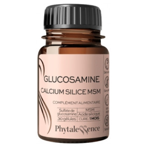 Phytalessence Glucosamine Calcium Silice MSM Gélules B/30